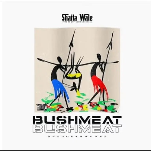 Shatta Wale – Bushmeat (Ajei)