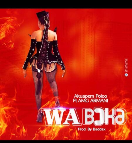Watch Akuapem Poloo – Wa Boka Music Video Ft Amg Armani