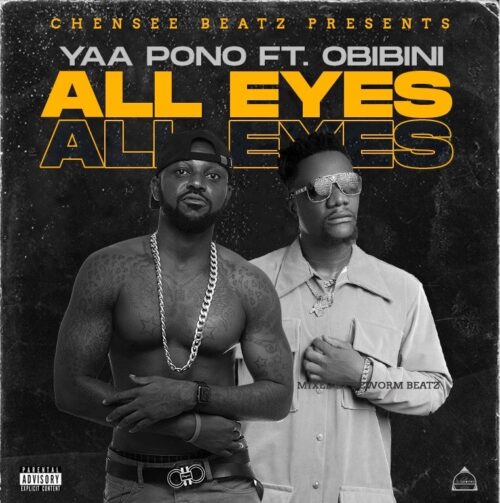 Download Mp3 Now: Yaa Pono – All Eyes Ft Obibini