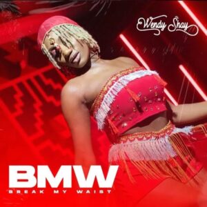 Download Mp3 : Wendy Shay – Break My Waist (BMW)