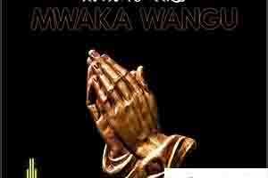 Downoad Mp3 : Harmonize – Mwaka Wangu