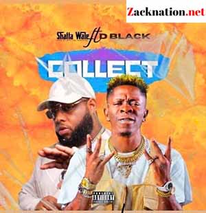 Download Mp3 : Shatta Wale Ft D-Black – Collect