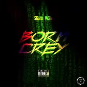 Download Mp3: Shatta Wale - Born Crey & Lyrics