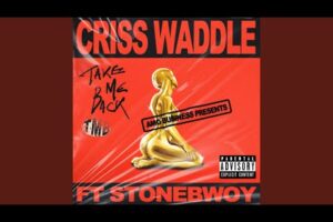 DOWNLOAD: Criss Waddle Ft Stonebwoy – Take Me Back MP3