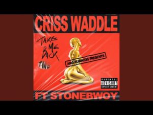 Criss Waddle - Take Me Back Ft Stonebwoy