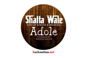Download: Shatta Wale – Adole Mp3