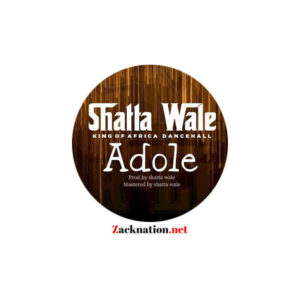Shatta Wale - Adole MP3