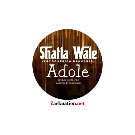 Download: Shatta Wale – Adole Mp3