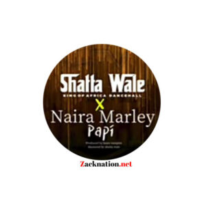 Shatta Wale - Papi Ft Naira Marley