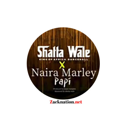 DOWNLOAD: Shatta Wale  Ft Naira Marley – Papi MP3