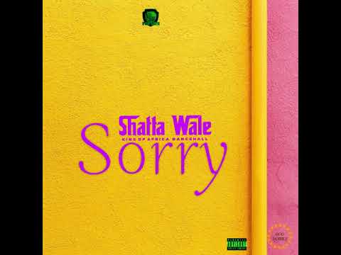 DOWNLOAD: Shatta Wale – AM Sorry MP3