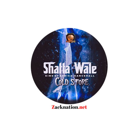 DOWNLOAD: Shatta Wale – Cold Store MP3