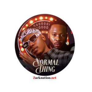 Kolaboy Ft Flavour - Normal Thing