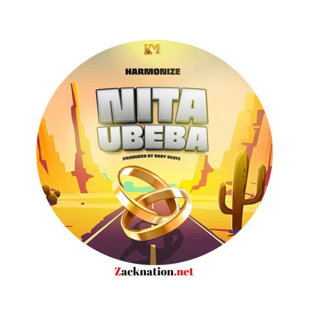 Download: Harmonize – Nitaubeba Mp3 (New Song)