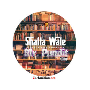 Shatta Wale - Mr Pundit