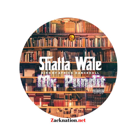 Download: Shatta Wale – Pundit Mp3 (New Song)