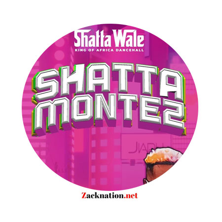 Download: Shatta Wale – Shatta Montez Mp3 (New Song)