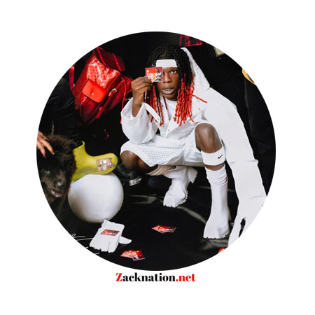 Download: Seyi Vibez – Billion Dollar Baby (Full Album) Zip