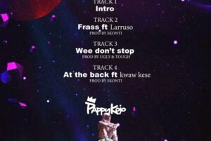 Download: Pappy Kojo – Nothing Matters Ep (Full Album)