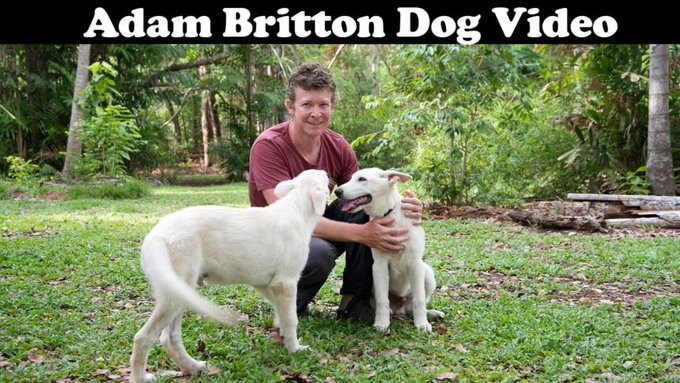 Adam Britton Dog Video Cerberus 1 Bitch 9 Pups Twitter & Reddit