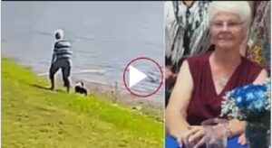 Alligator Attack Florida Full Video Killed Gloria Serge twitter, reddit