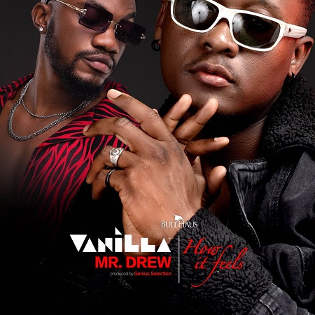 Download: Vanilla Ft Mr Drew – How It Feels Mp3 (New Song)