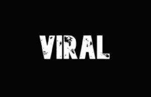 Marshall And Millions Dogs Full Video