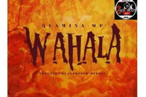 Download: Quamina MP – Wahala Mp3 (New Song)