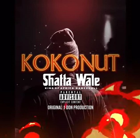 Download: Shatta Wale – Kokonut Mp3 (New Song)