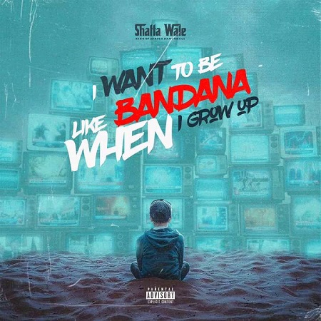 Download: Shatta Wale – I Want To Be Like Bandana Mp3