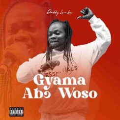 Download: Daddy Lumba – Gyama Abo Woso Mp3 (New Song)