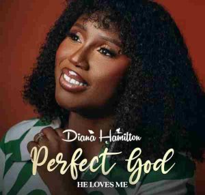 Diana Hamilton - Perfect God