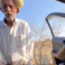 Alwar Wale Viral Video Firecent com