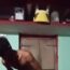 Sex Video Of Nirma Meena Going Viral Online