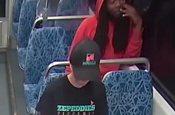 Iryna Zaruska Stabbing Video Decarlos Dejuan Brown Jr Gofundme