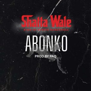 Shatta Wale - Abonko